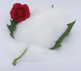 โพลีอาคริลาไมด์ประเภทใดมีประสิทธิภาพมากขึ้นในการบำบัดน้ำเสียล้างรถ?